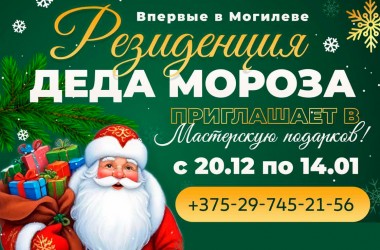 В парке Подниколье с 20 декабря начнет принимать гостей резиденция Деда Мороза