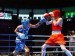 Беларусы завоевали четыре медали юниорского чемпионата Европы по боксу