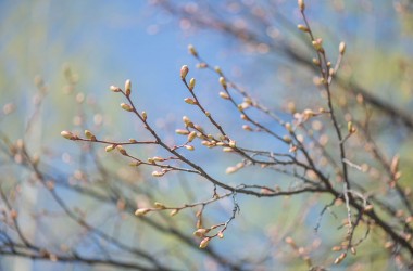 Что изменится в Беларуси в апреле