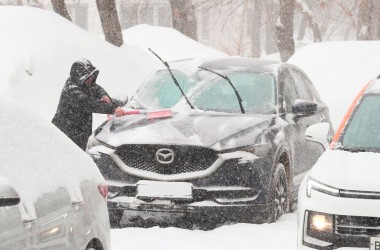 В Могилевской области ожидается циклон WALLY V