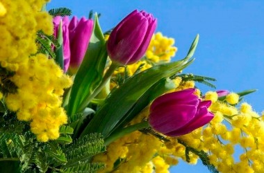 Во всех микрорайонах Могилева откроются цветочные ярмарки